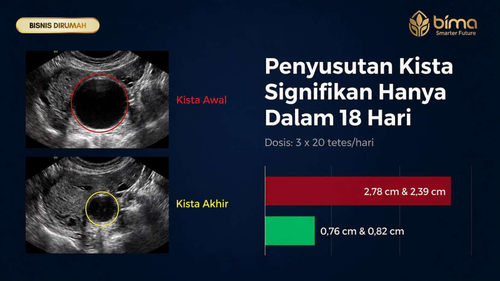 Agen Elcure Kaltara – 08995027427 – Solusi Kesehatan Berkelanjutan di Kalimantan Utara